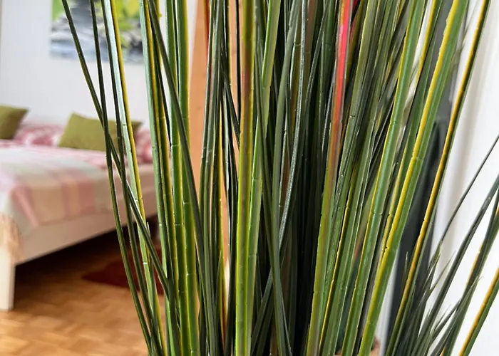 Antik Chic Mit Gartenblick * Salisburgo