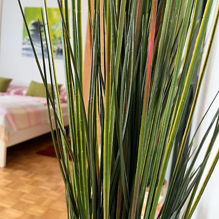 Antik Chic Mit Gartenblick * ザルツブルク